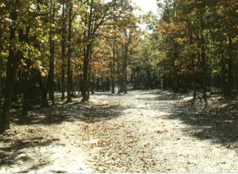 Central Encampment- Bivouac Site