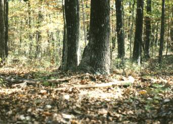 PFC Smith's Shelter-Half Site